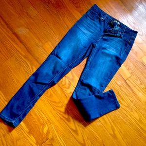 Indigo Rein Jeggings